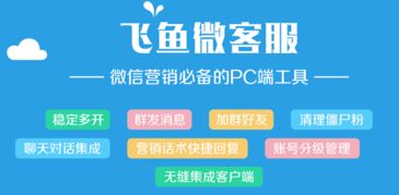 飛魚微客服 飛魚微信營銷軟件下載v1.09 免費版 騰牛下載
